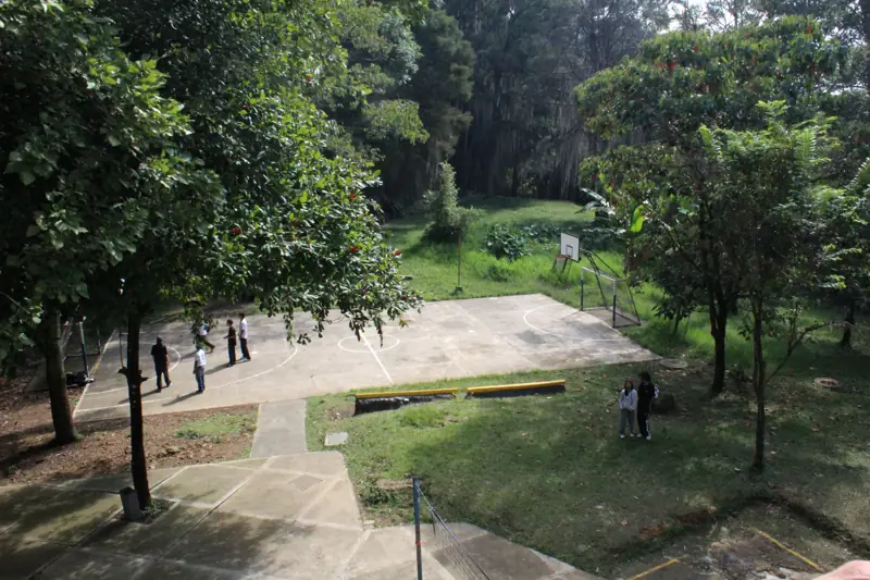 Cancha y zonas arborizadas